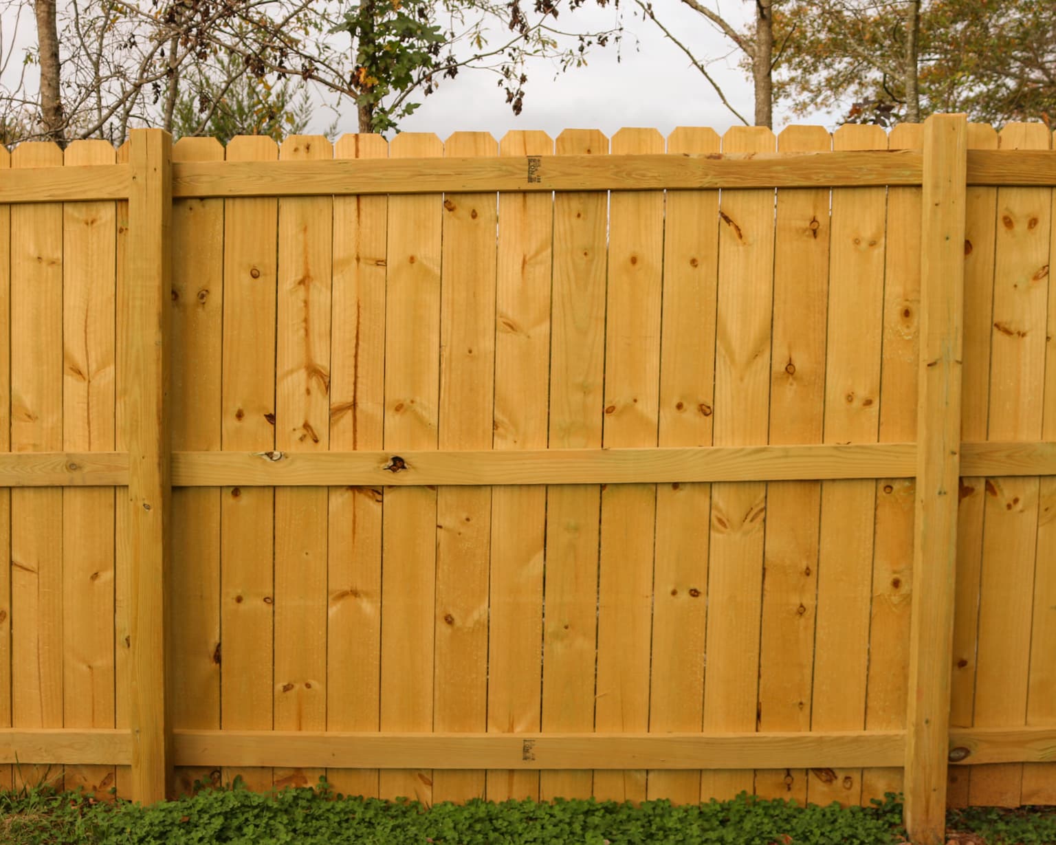 Wood privacy fence
